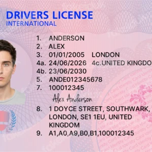 The Ultimate UK Drivers License